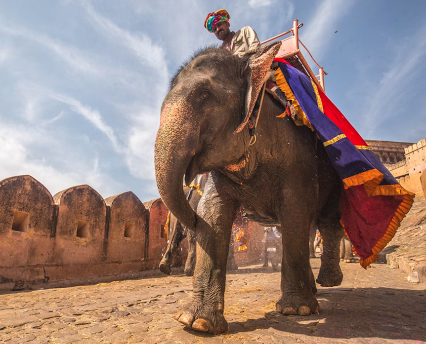 Friendly local driver Fardin