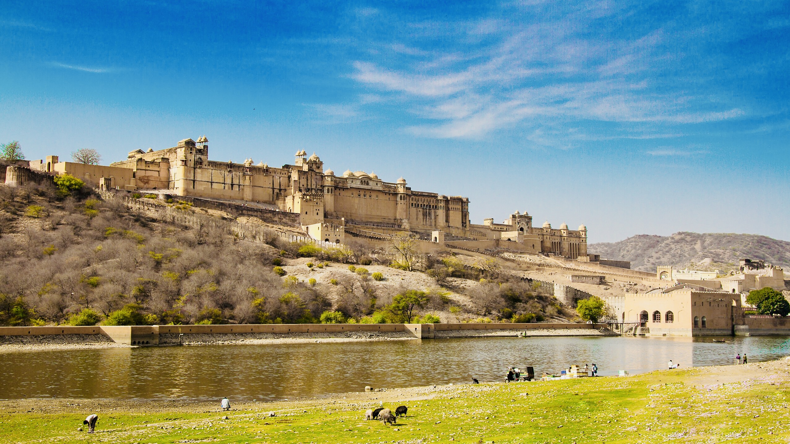 07EFACCF 35ED 46E6 82ED 0610C3D29C34 1 201 A 20251105 114305 51ae94