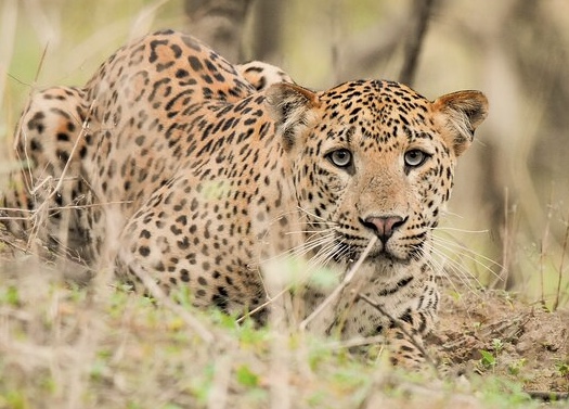 74BF191F F1E5 499F A8E1 757A8E29AADB 20251105 114209 004684