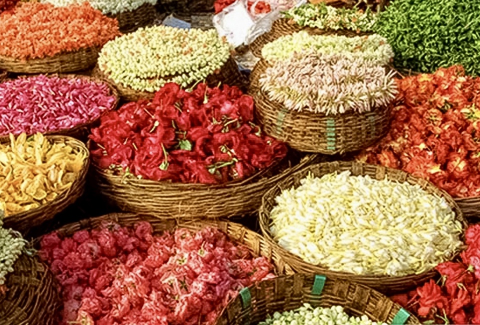 7A7E1743 9389 49C1 A015 B6710B98D4D9 20251105 114015 3bcf4e